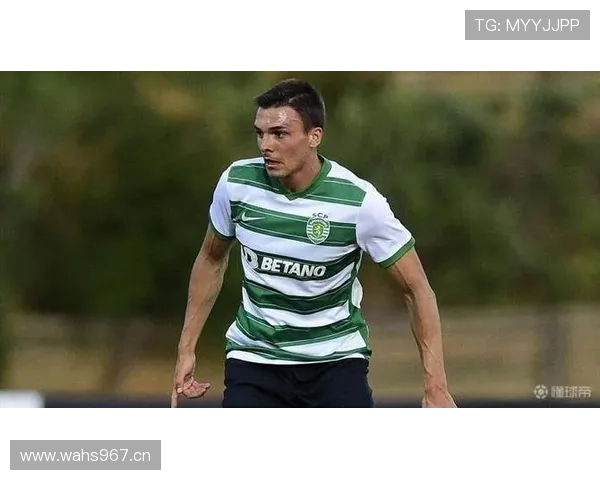 帕利尼亚从布拉加到回归葡萄牙体育的关键转折解析