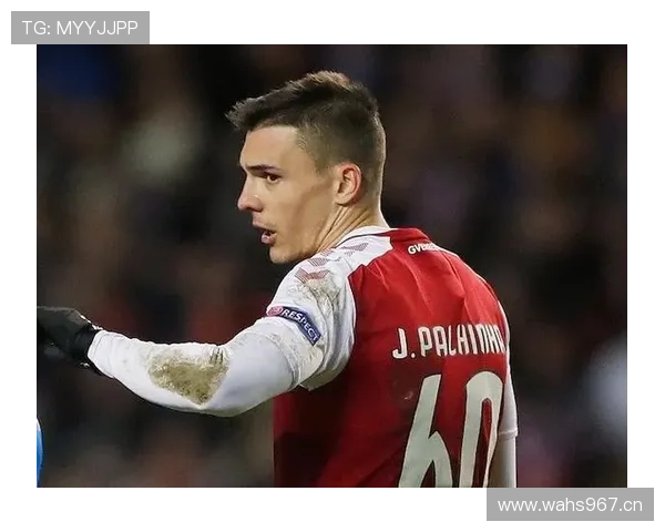 帕利尼亚：从破坏型后腰到稳定出球点的角色演变分析